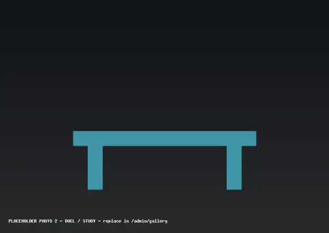 Placeholder — Mojave Duel, study